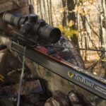 10 Things That Affect Your Crossbow's Accuracy | Deer & Deer Hunting