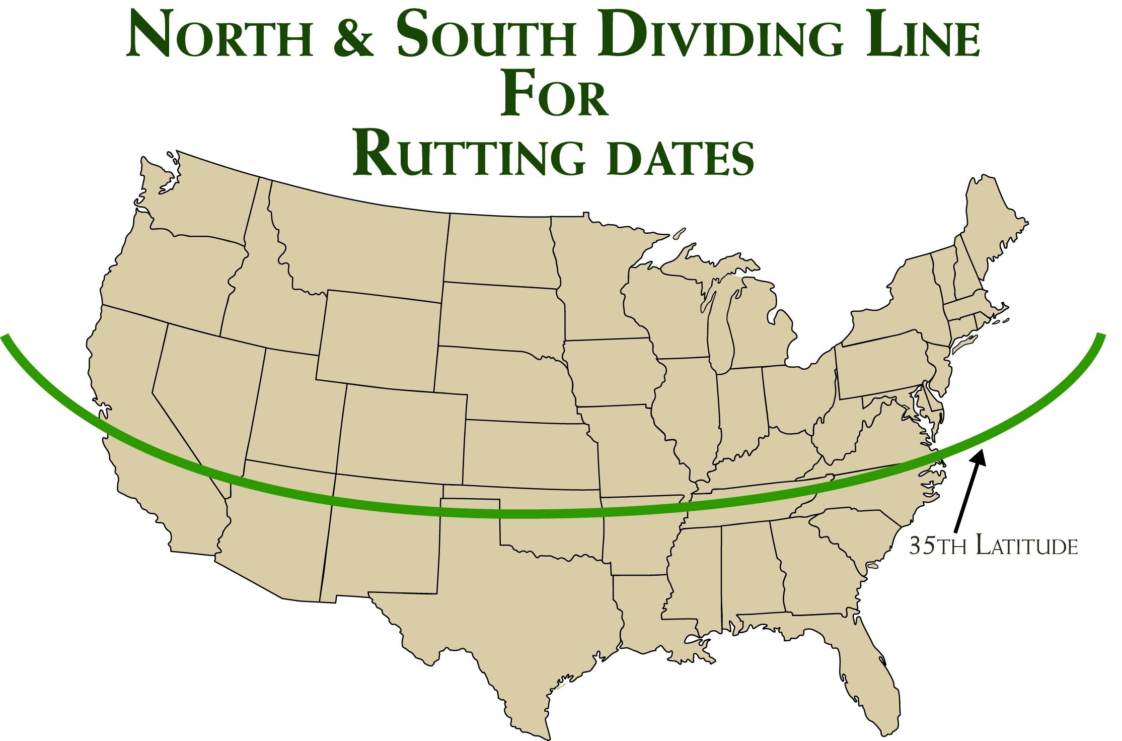 2022 Whitetail Rut Predictions | Deer & Deer Hunting