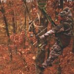 22 Reasons to Use a Tree Saddle | Deer & Deer Hunting