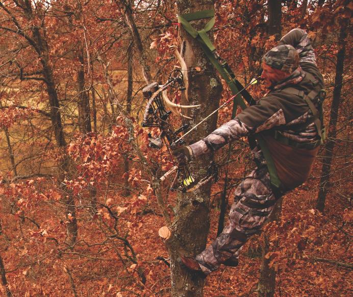 22 Reasons to Use a Tree Saddle | Deer & Deer Hunting