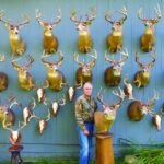 5 Lessons on Whitetails to Remember | Deer & Deer Hunting