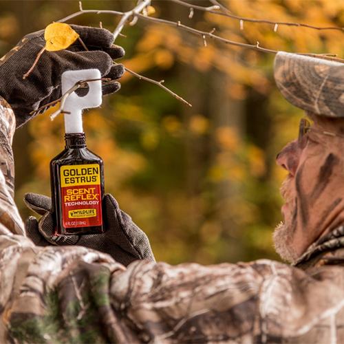 Best Scents to Use During the Rut