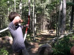 Bowhunting Debate: What's the Longest Shot You Should Take?