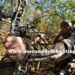 Bowhunting Tip: Carefully Consider Your Draw Weight | Deer & Deer Hunting