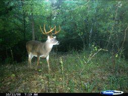 EXCLUSIVE: Peak 2016 Rut Forecast for Southern Deer Hunters | Deer & Deer Hunting