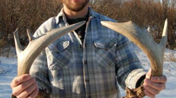 How to Find Deer Antlers: Must-see Tips for Shed Hunting Antlers