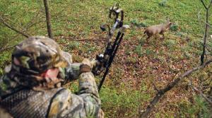 Eleven states still have some kind of limit or prohibition on Sunday hunting.