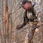 Survey: Rubs Beat Scrapes for the Best Deer Hunting Success