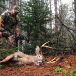 The 3 Biggest Mistakes Bowhunters Make in Early Season