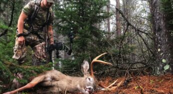 The 3 Biggest Mistakes Bowhunters Make in Early Season