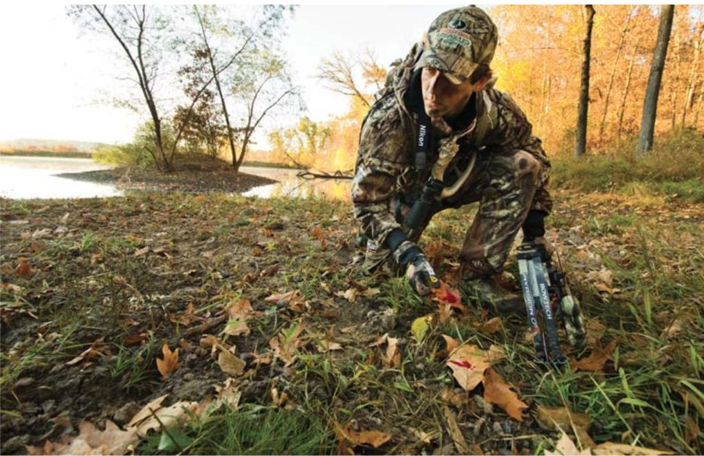 The Best Tips for Tracking Deer When the Blood Trail Stops