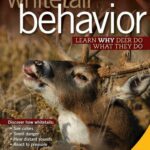 Whitetail Behavior DVD from Deer & Deer Hunting TV